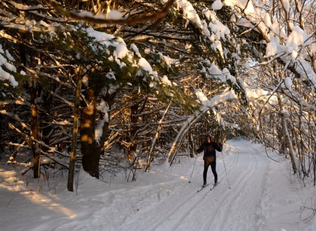 andrew afternoon ski