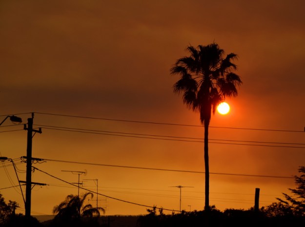 bushfire sunset