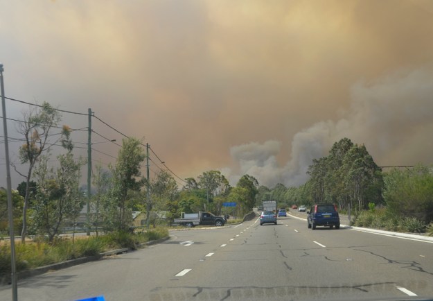 016bush fire driving home