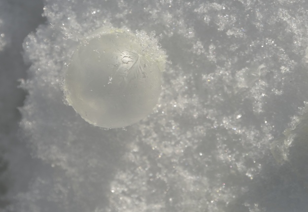 snow bubble Heather Telford
