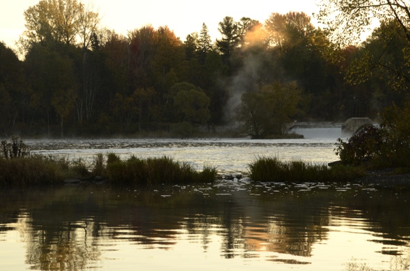 Black rapids Heather Telford