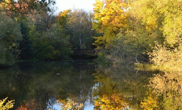 Black rapids Heather Telford