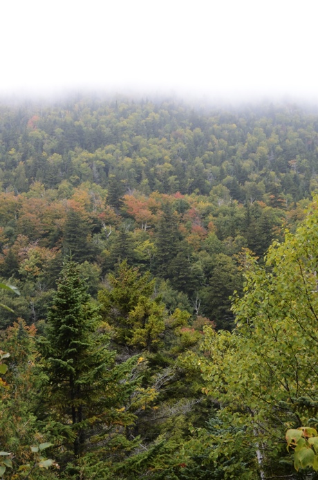 View from Round Mountain NY Heather Telford