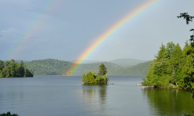 DSC_8274 After the rain Heather Telford